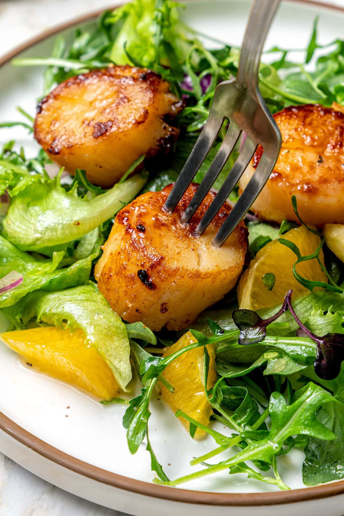 Pan seared scallops taste like a special occasion dinner but they’re easy enough for a weeknight. Serve over salad for a light, healthy meal! Fork piercing pan seared scallop on plate with salad