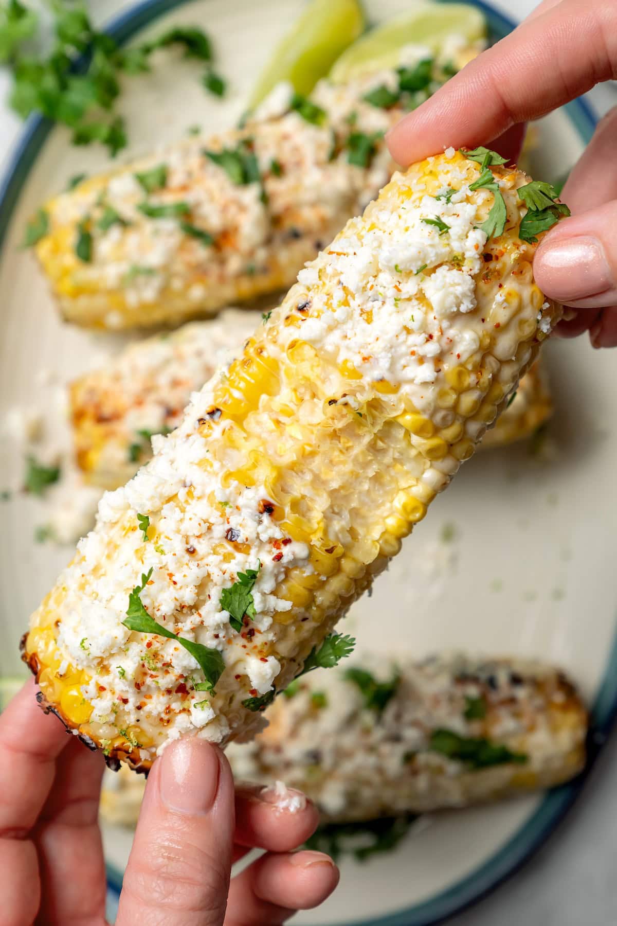 Hand holding ear of Mexican street corn with bite taken out of center