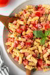 Fresh Tomato Pasta