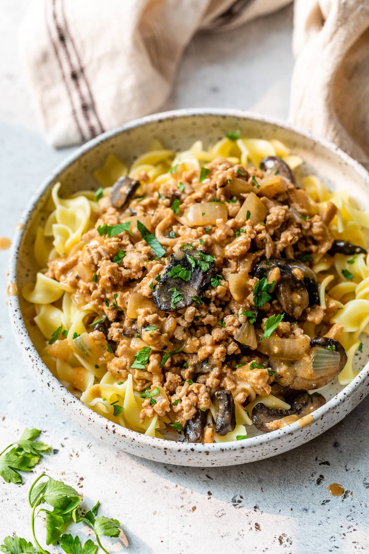 Chicken Stroganoff with noodles