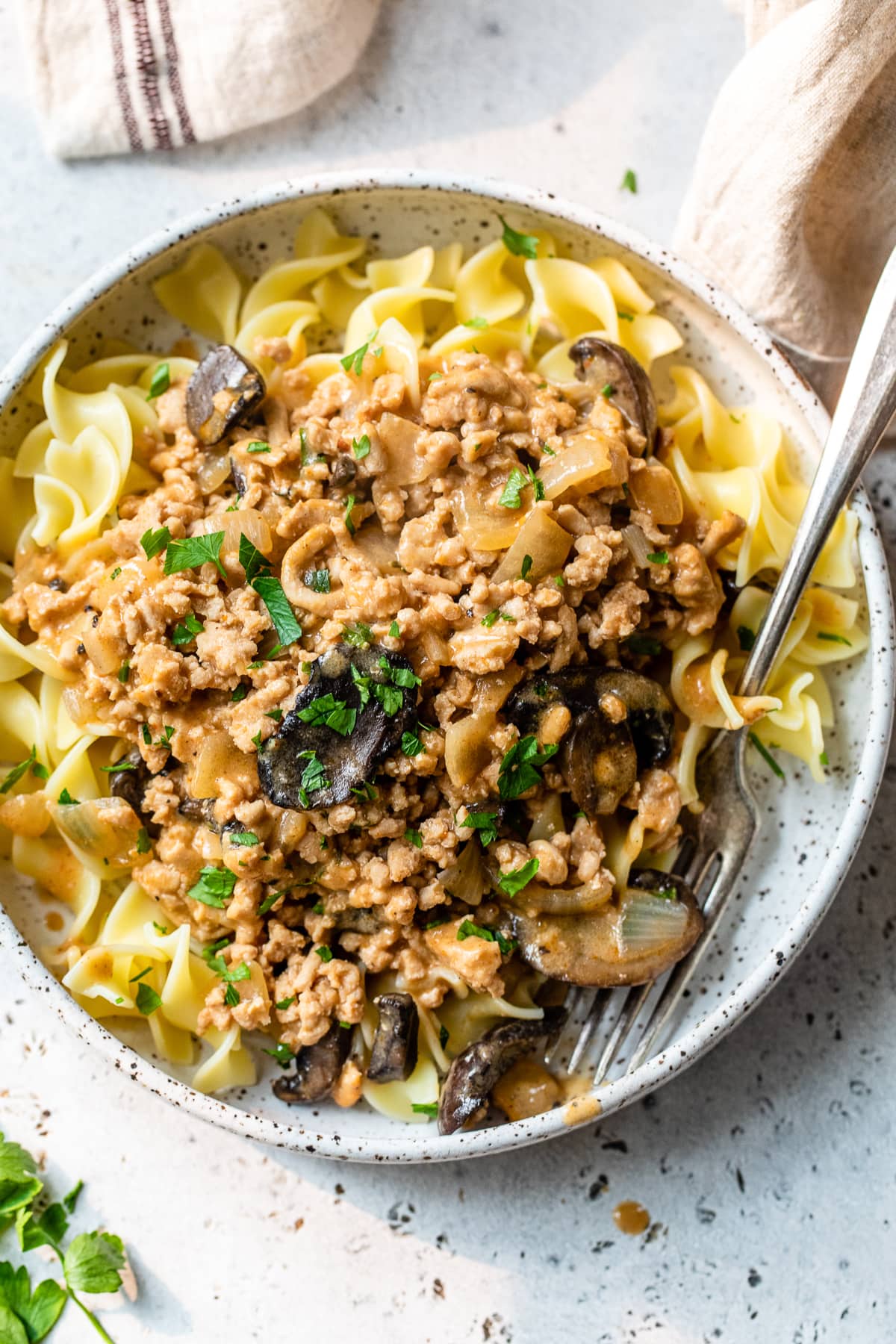 Chicken Stroganoff with Egg Noodles