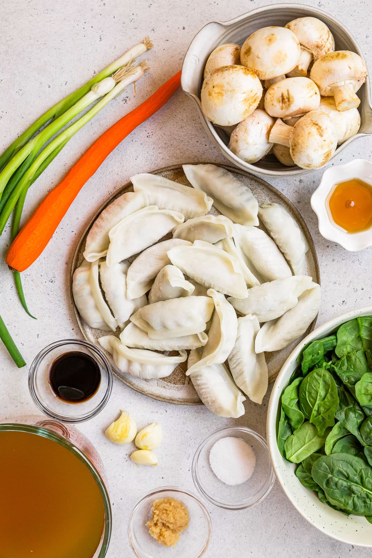 Potsticker Soup ingredients