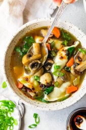 Potsticker Soup