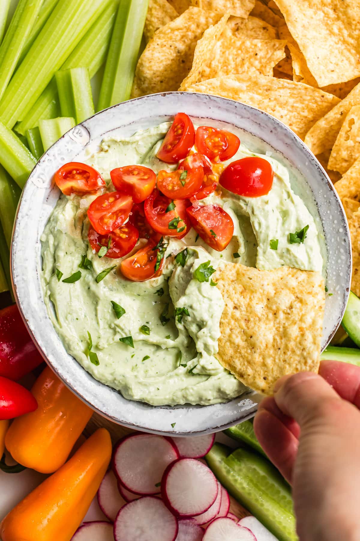 Whipped Avocado Cottage Cheese Dip