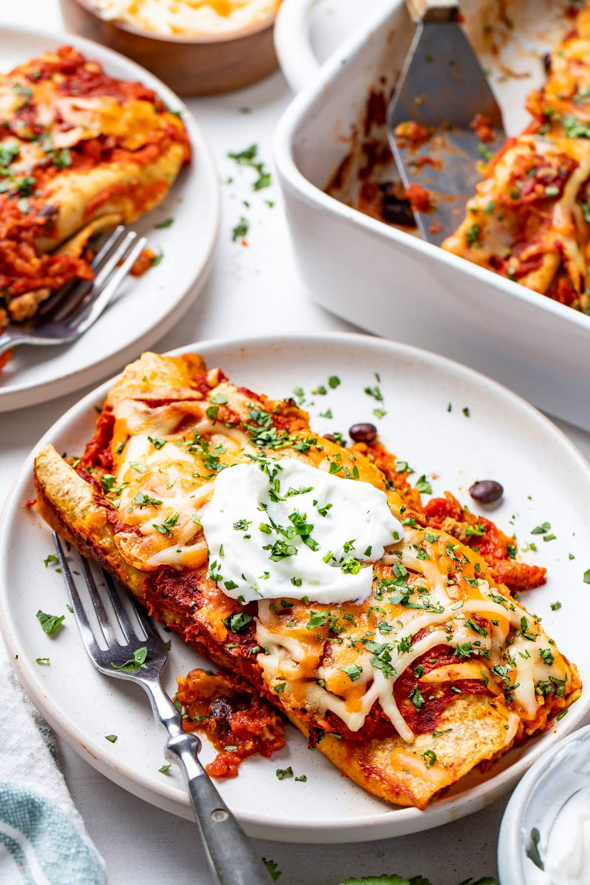 Turkey and Black Bean Enchiladas